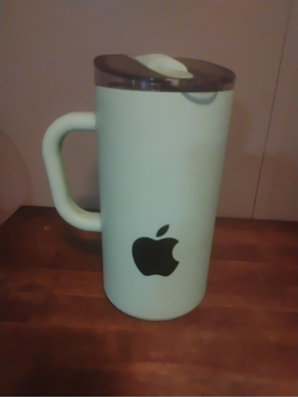 Apple Logo Mint Green Insulated Tumbler Mug with Handle